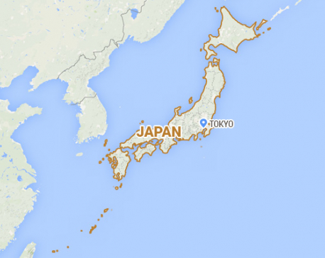 Strong earthquake hits Japan, no tsunami warning
